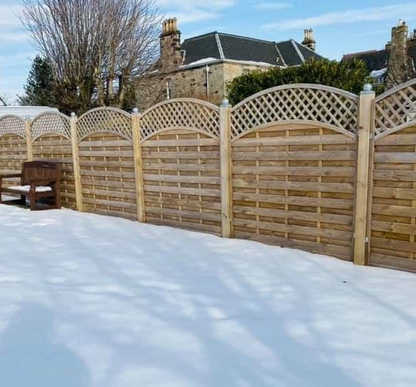 WhatsApp Image 2026 03 28 at 14 41 56 3 600x558