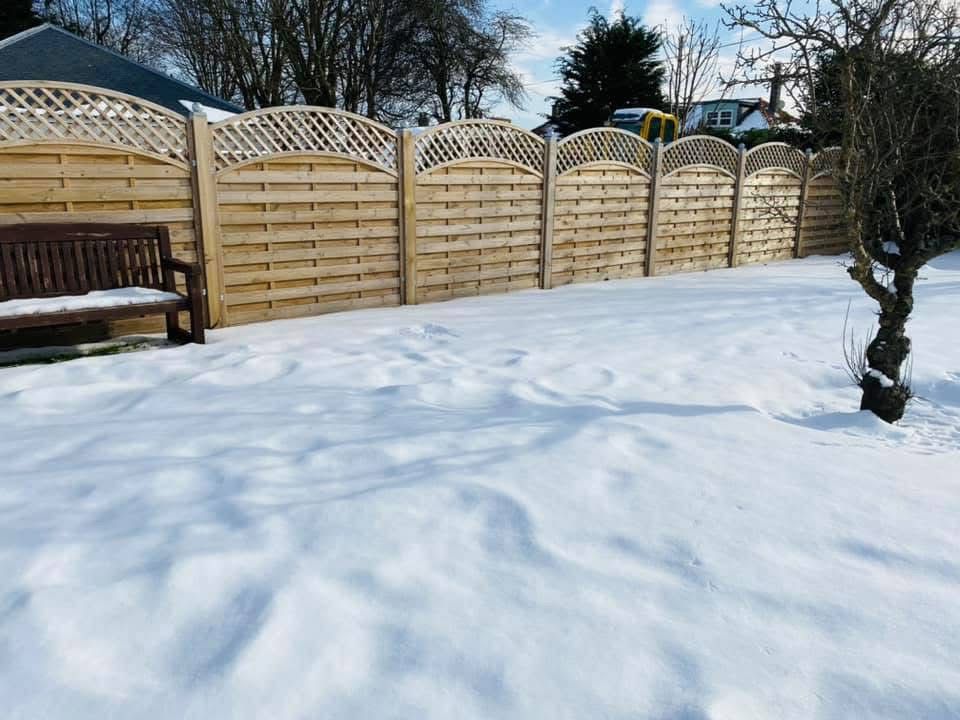 WhatsApp Image 2026 03 28 at 14 41 56 4